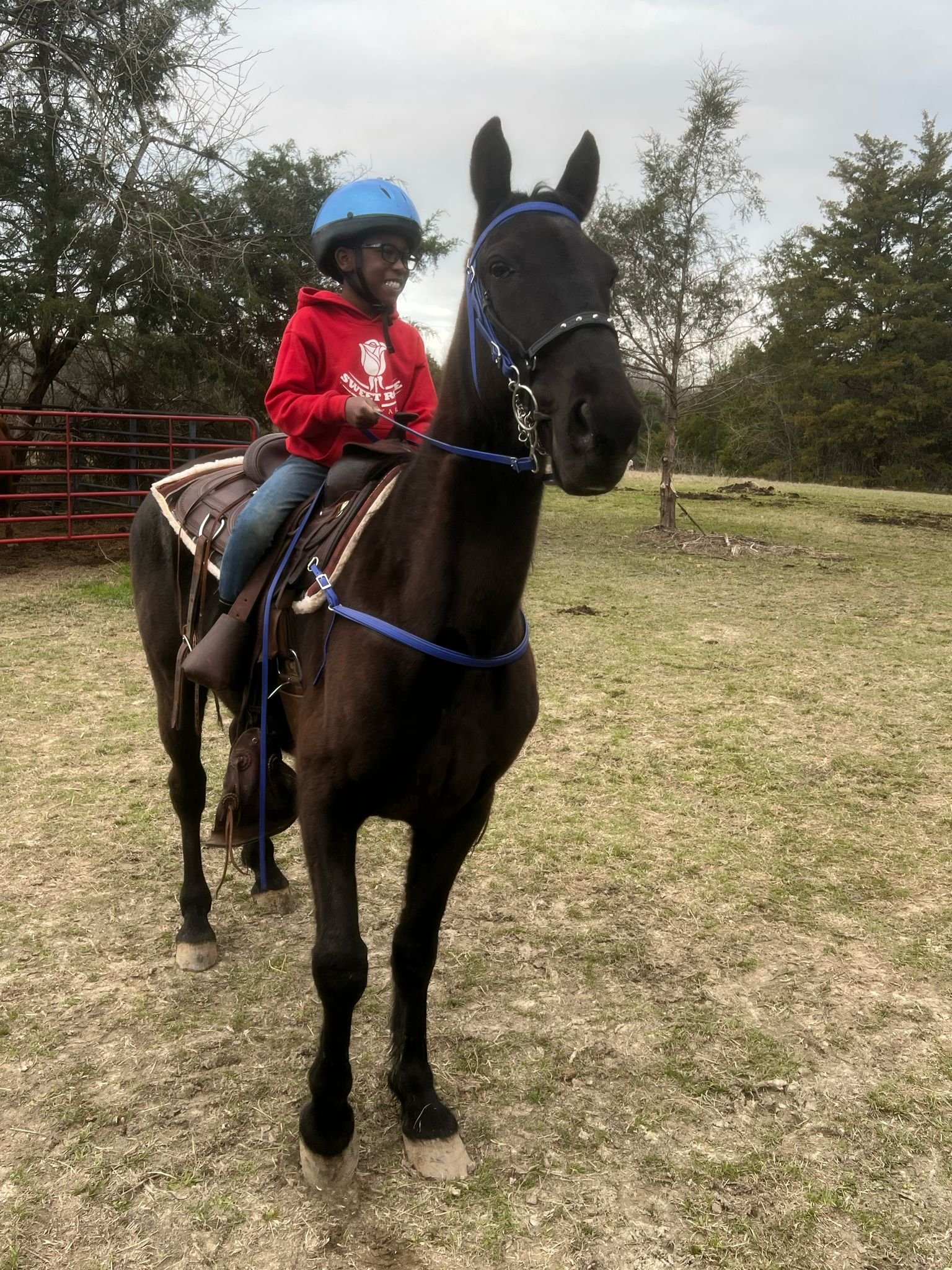 WhatsApp Image 2025-03-20 at 4.57.13 PM (1)